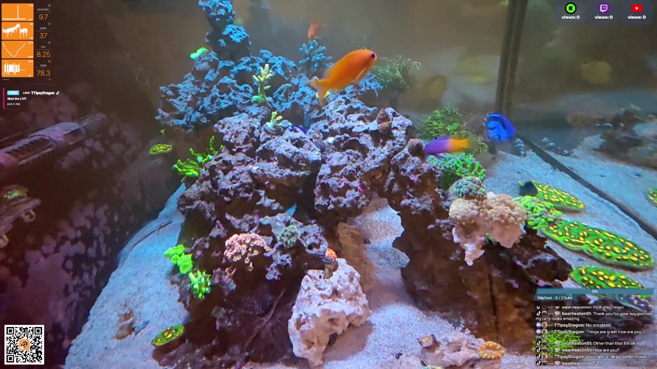 24/7 Real Live Reef Stream