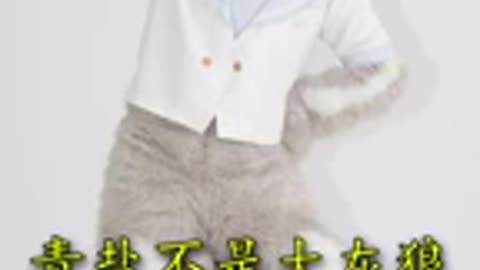 【Fursuit Dance】 Qingyan (青盐不是大灰狼) - DJ HOLLANDEZ & SECRXT 'screwbot factory'