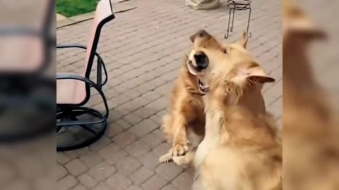 📹 Trending Chinese Viral Videos | Funny, Emotional & Shocking Moments