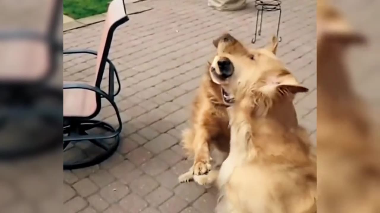 📹 Trending Chinese Viral Videos | Funny, Emotional & Shocking Moments