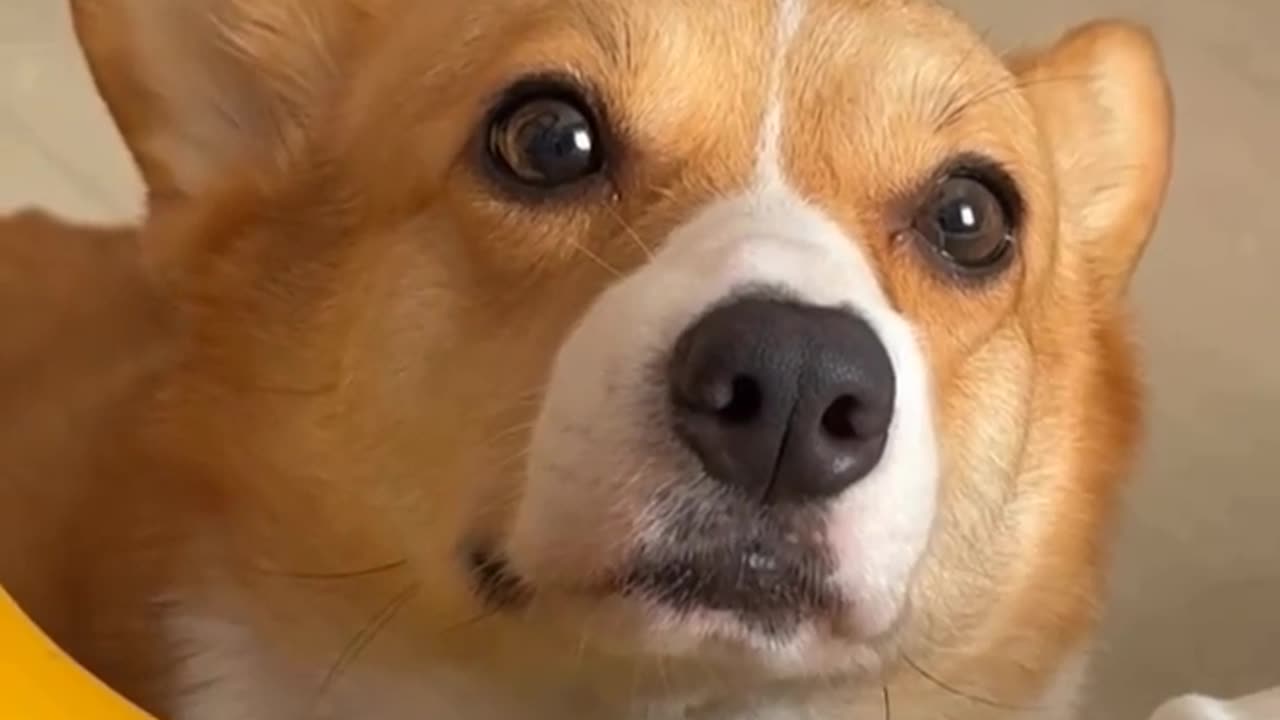 😂😭 This Guy's Desire is HILARIOUS! | FunFM