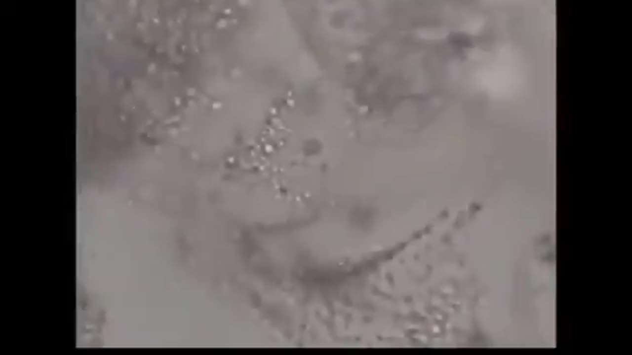 Nicotine Filmed Destroying Injectable Nanotechnology