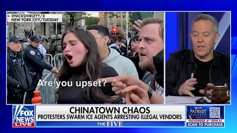 ‘Bad Hombres’: Jessica Tarlov Admits NYC Anti-ICE Protesters Were In The Wrong