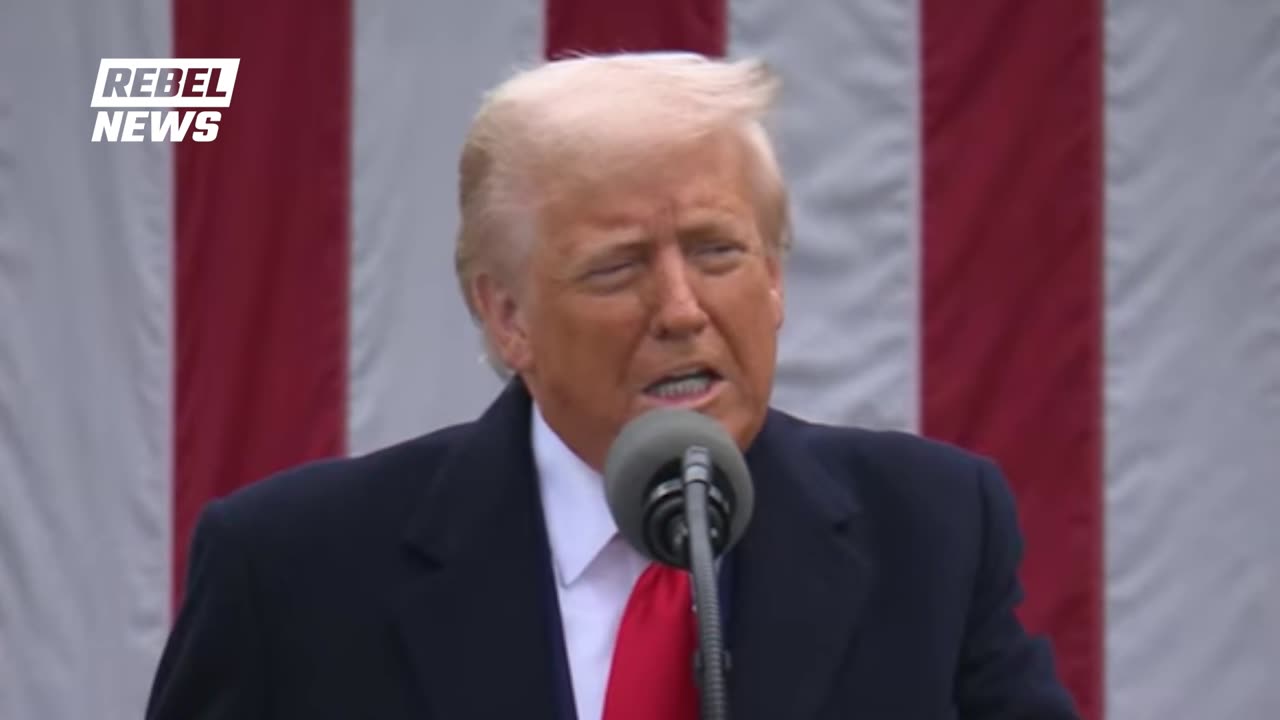 Trump rolls out tariffs in 'Liberation Day' announcement