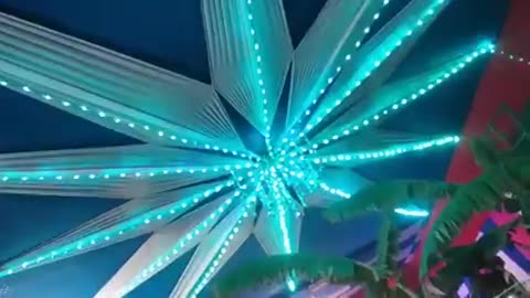 Wedding Video