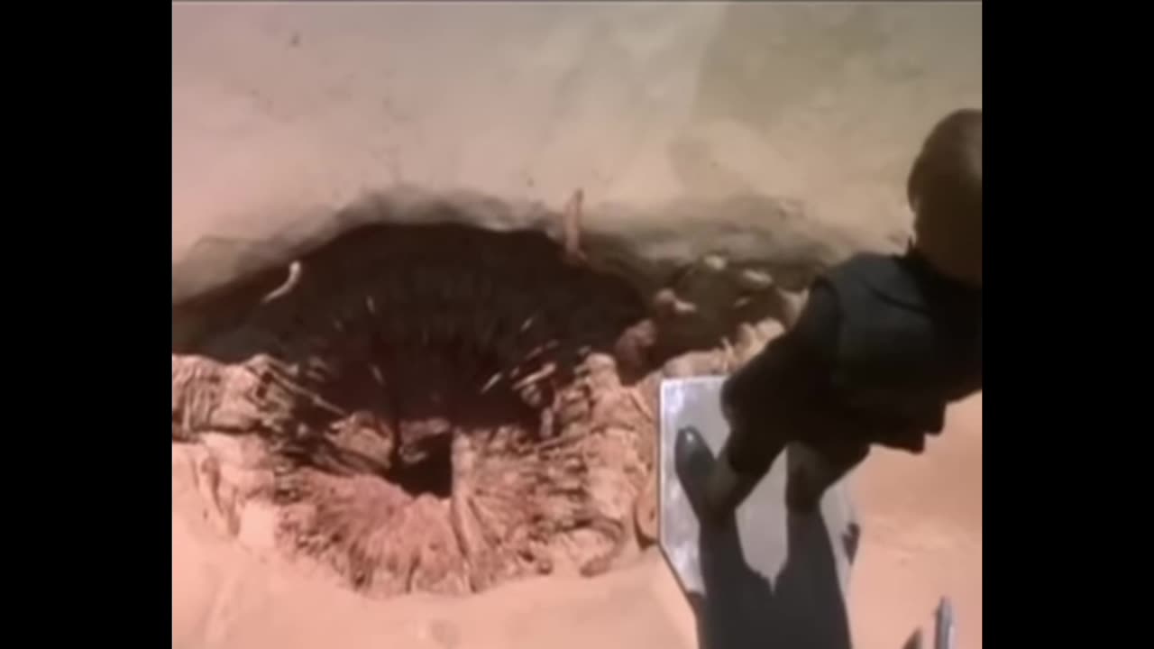 Don't Get on Sarlacc's Bad Side