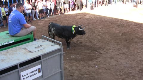 TOROS TARDE 19 mayo FIESTAS DE SANTA QUITERIA 2025