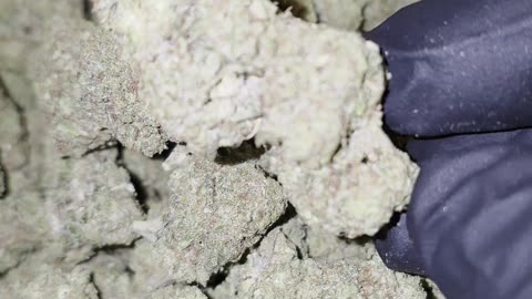 Cali Haze Flower - THC