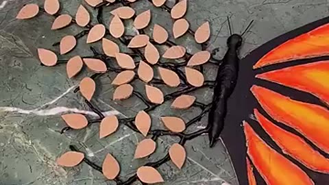 Trending: Beautiful butterfly diy using clay #shorts #youtubeshorts #viral #diy