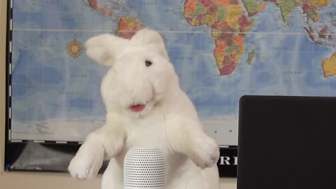 Canadian content creators had better pay close attention
