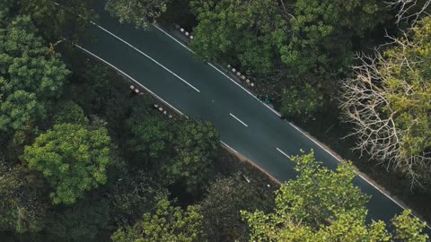 🌿 Lawachara National Park Forest Road | Hidden Beauty of Sylhet, Bangladesh 🇧🇩