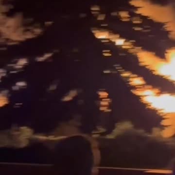 Migrants and youths turned an annual music festival in France into another round of mass brawls #2