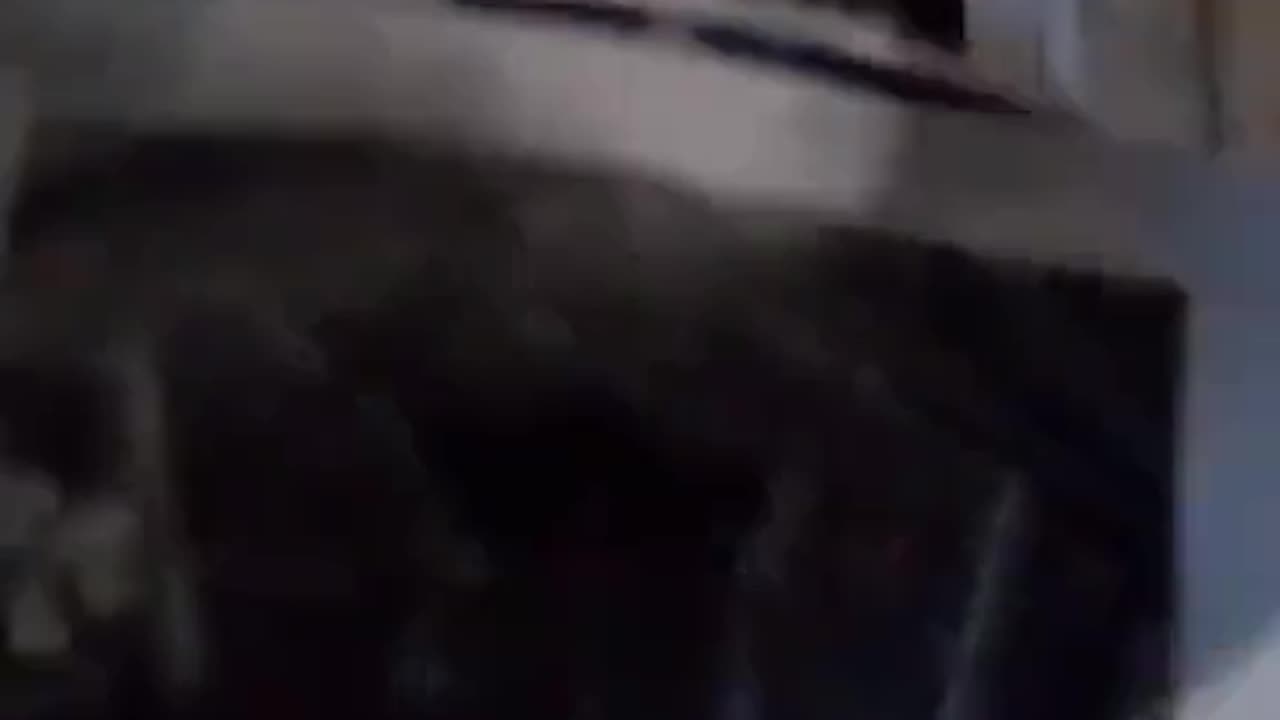 Tim Rifat TikTok Videos