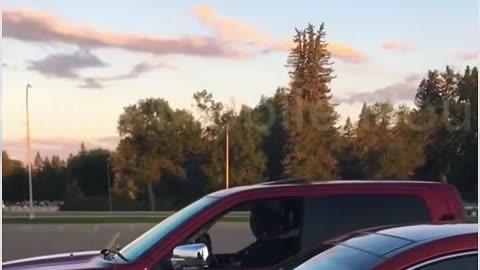 Wife caught cheating