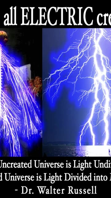 WE ARE ALL ELECTRIC CREATURES.