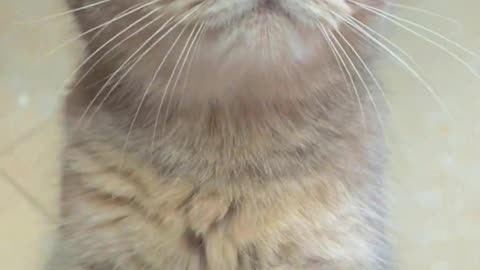 When I secretly eat snacks