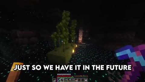 I Survived 500 DAYS in Minecraft Hardcore – The FULL MOVIE!