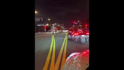 Minivan driver goes nuts in LA