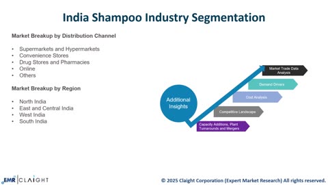 India Shampoo Market 2025-2034: Key Trends, Growth Drivers & Leading Brands