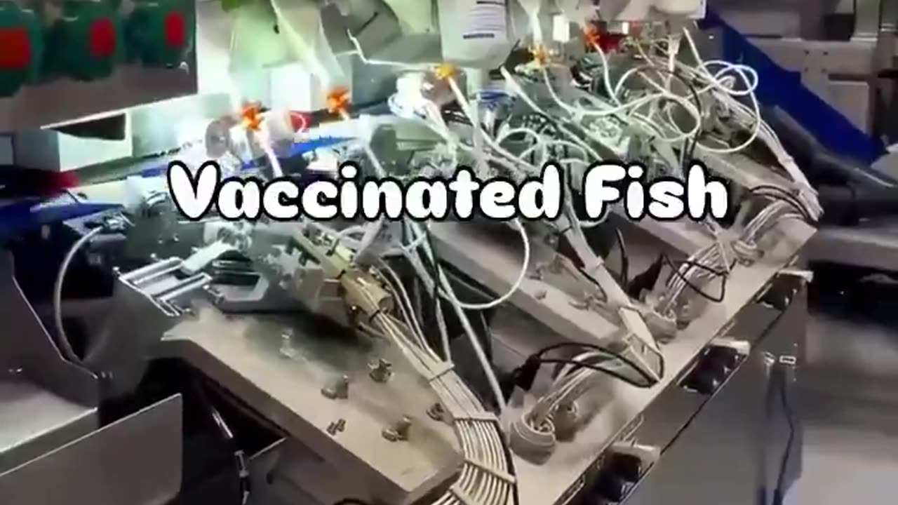 mRNA vaccinated fish - they want to kill us