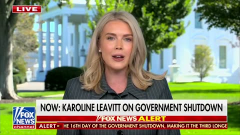 President Trump and Republicans want the government reopened immediately.