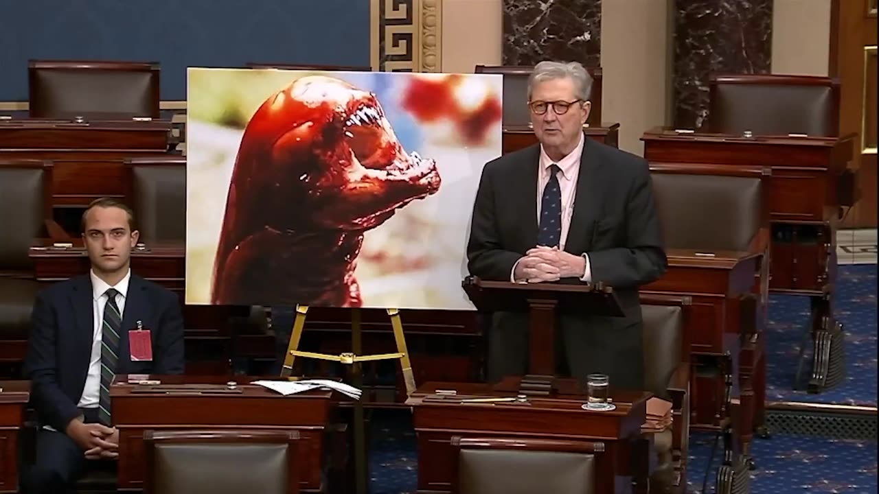 Meanwhile in the United States Congress...