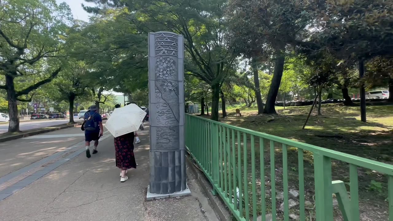 Feeding the beautiful wild deer of Nara