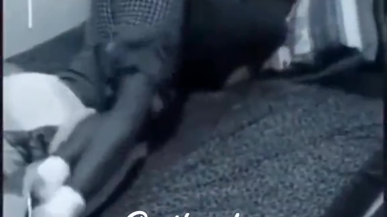 😨👻 Ghostly Encounter on This Day! | TheHauntingHour