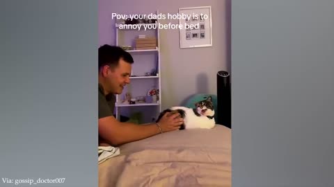 These animals will make you laugh hard | animal funny video compilation