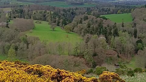 Scott's View