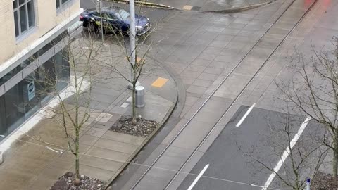 Car In No Hurry Blocks Public Train From Moving
