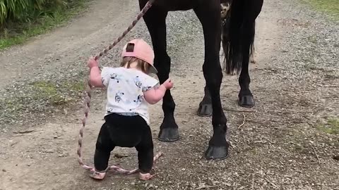 Adorable Little Girl Leads Patient Horse!