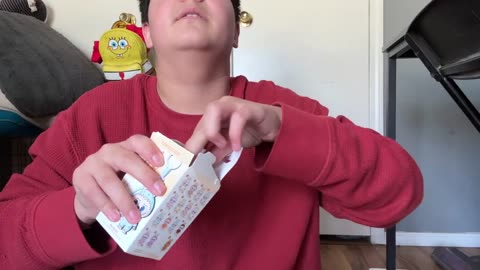 Labubu Pin For Love A-M Blind Box Review