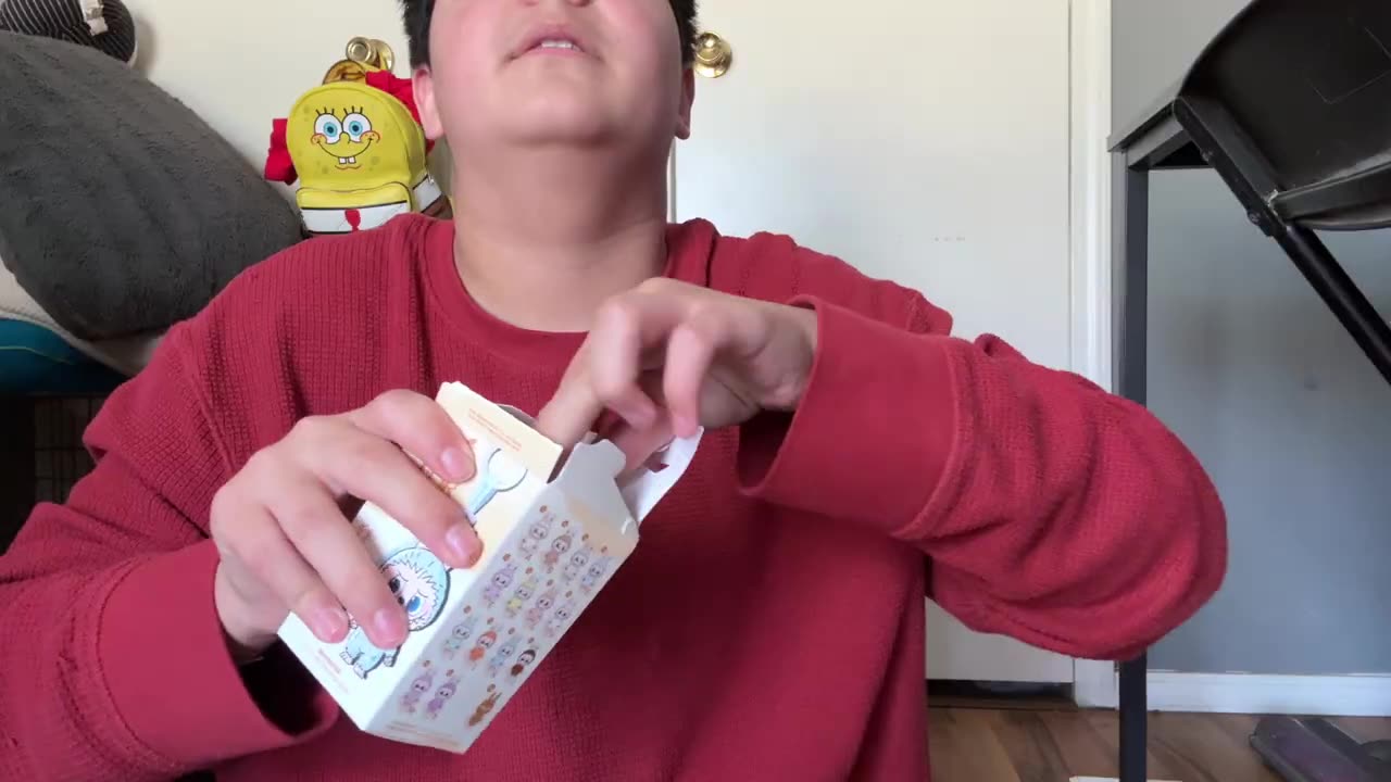 Labubu Pin For Love A-M Blind Box Review