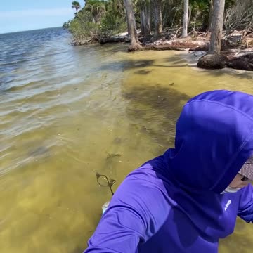 Gliding Through Low Tide – Nature & Bottle Hunting