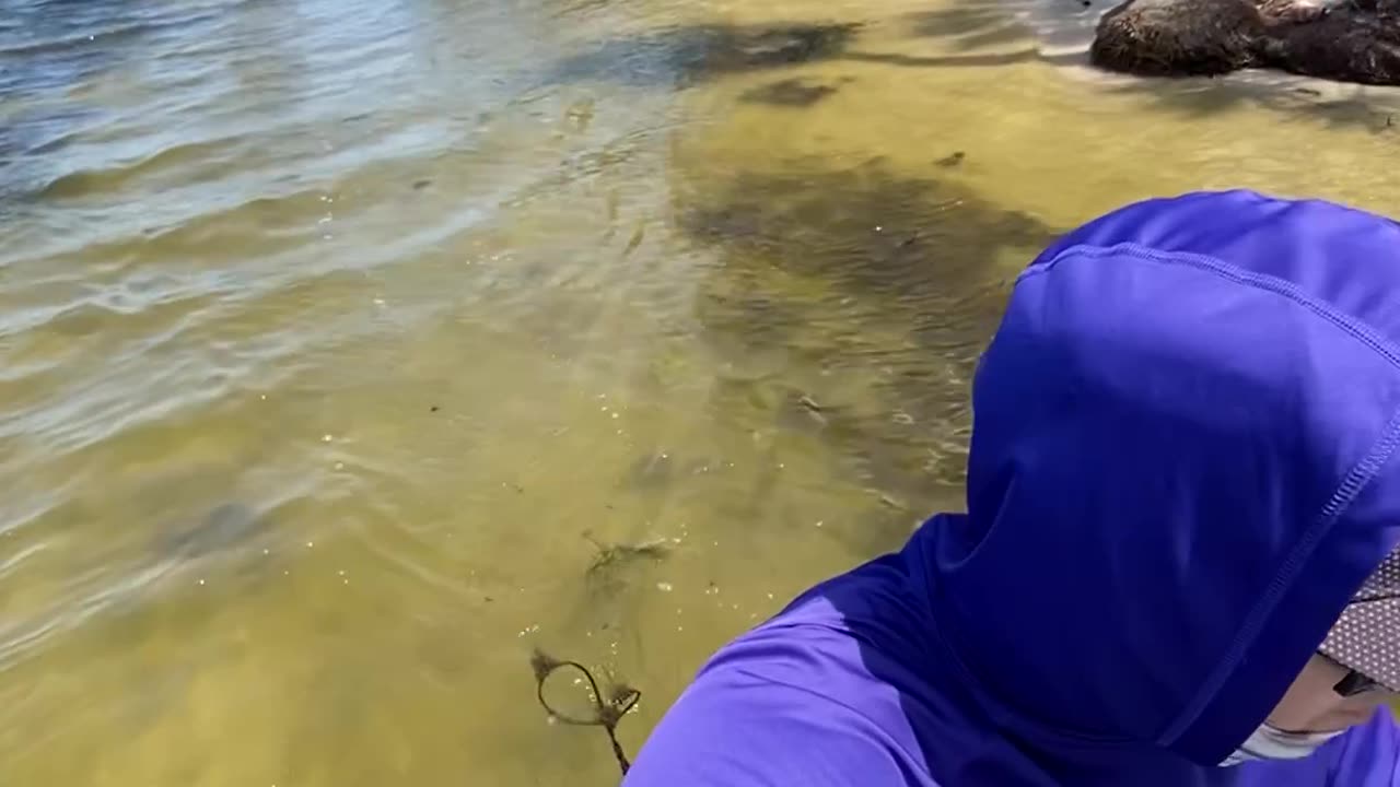 Gliding Through Low Tide – Nature & Bottle Hunting