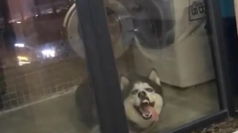 funny moments