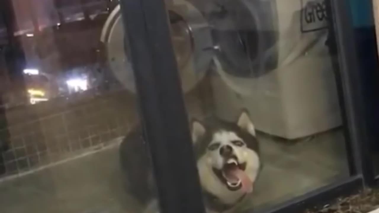 funny moments