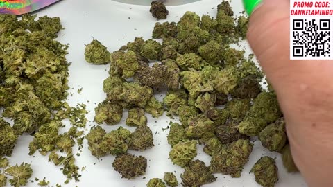Showing Off 3 Amazing Ounces from Lit Farms on Dankin with the Flamingos!!