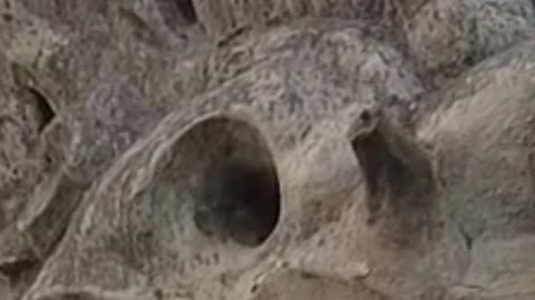 God light is going to burn physical body slowly changing without noticing to crystalline light body.