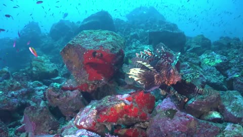 beautiful natural ocean 2