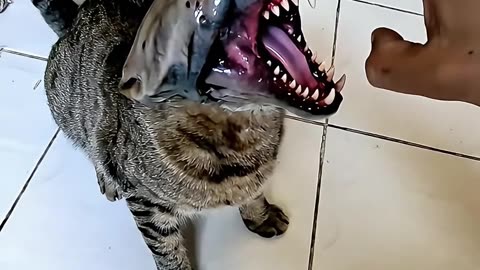 TAIGER is ALIEN #aicat