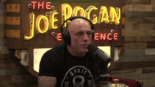 The Joe Rogan Experience | Brandon Epstein (2364)