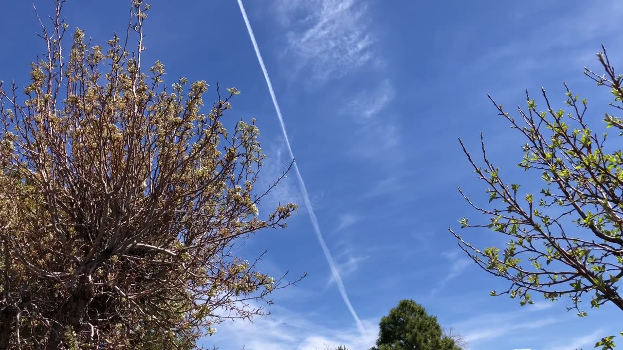 Chemical Poisoning Our Sky Over Taos