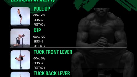 Calisthenics Muscle Workout Guide (Biginner)
