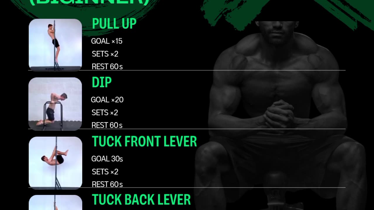 Calisthenics Muscle Workout Guide (Biginner)