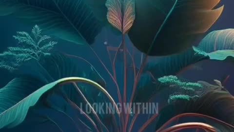 Houseplants Can Recognize Their Owners from 2KM