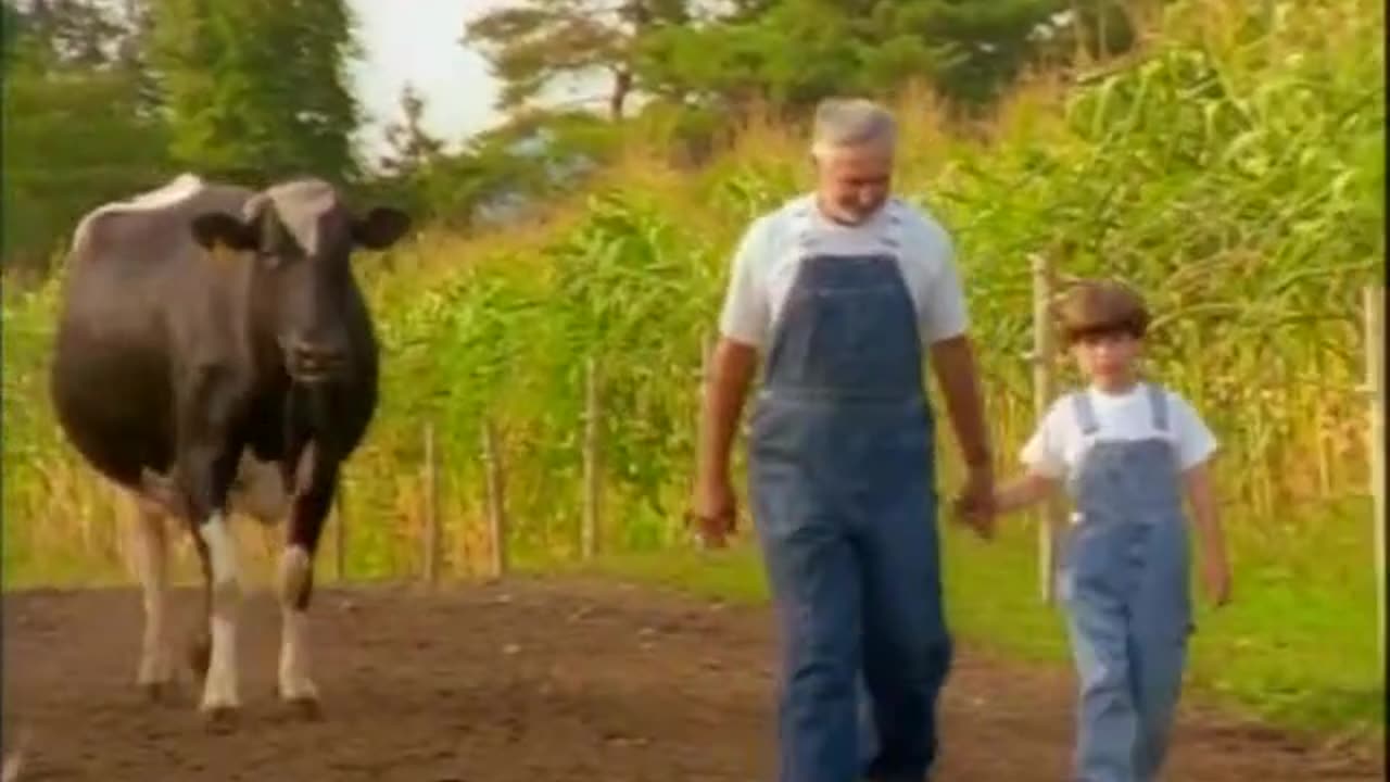 06 Macdonald.mp4