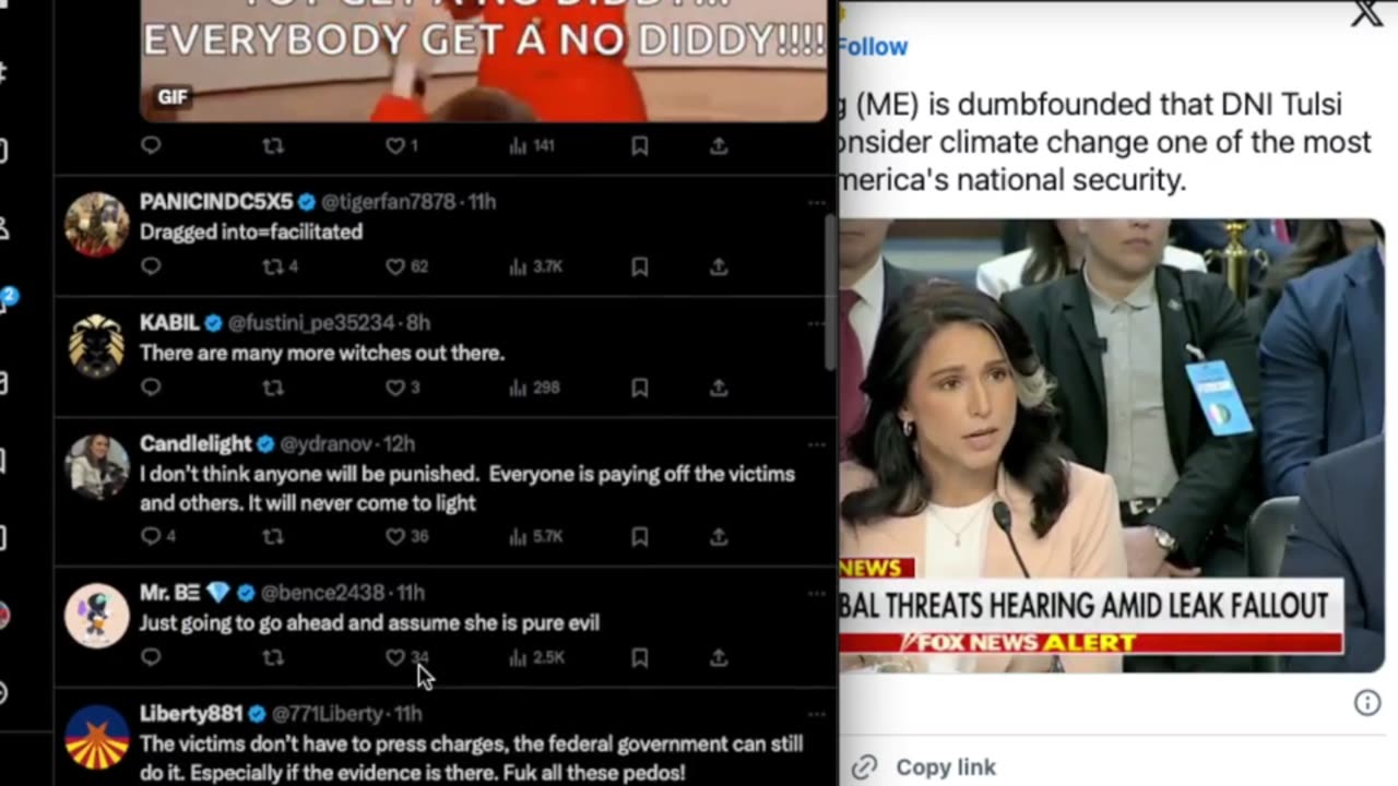 Banned Video on Tiktoc 3-27-25