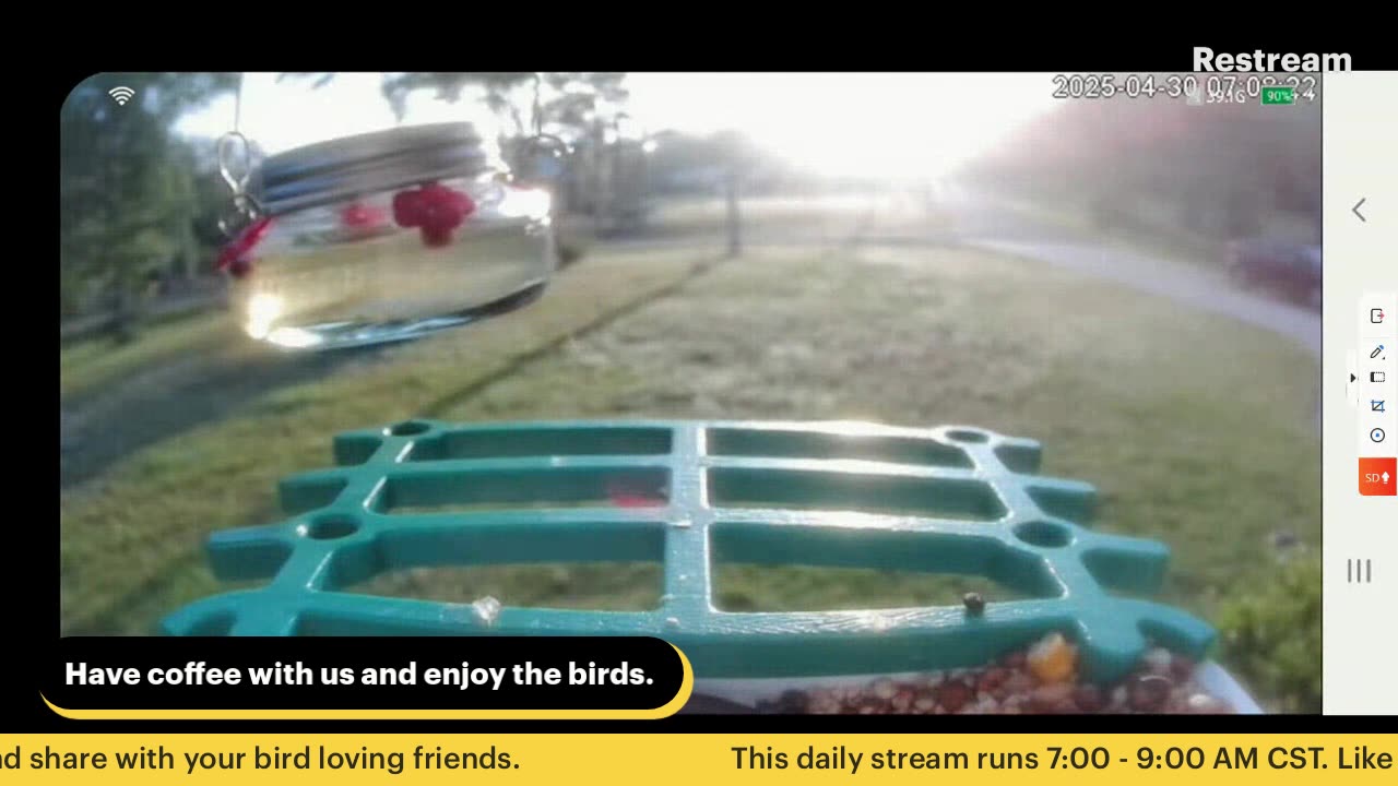 Bird Feeder Live 4-30